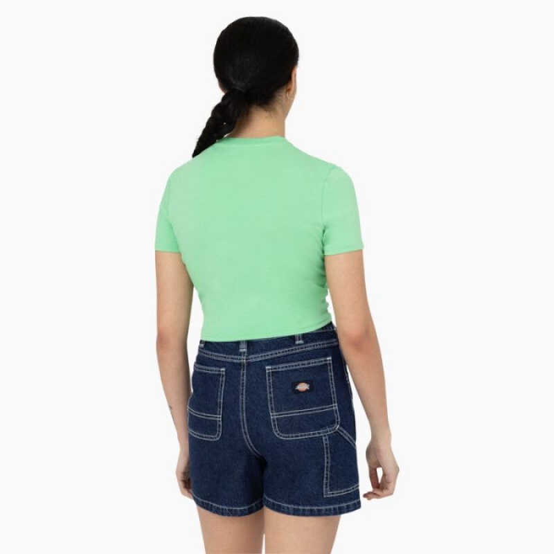 Dickies Maple Valley Logo Cropped T-Shirt Verde Menta | BCWB6931