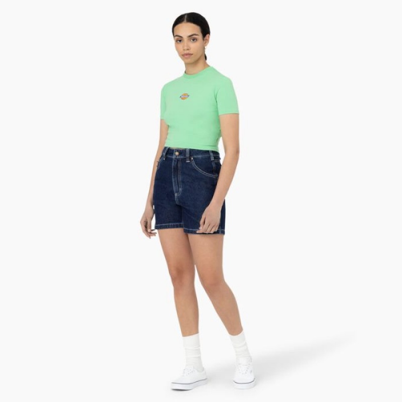 Dickies Maple Valley Logo Cropped T-Shirt Verde Menta | BCWB6931