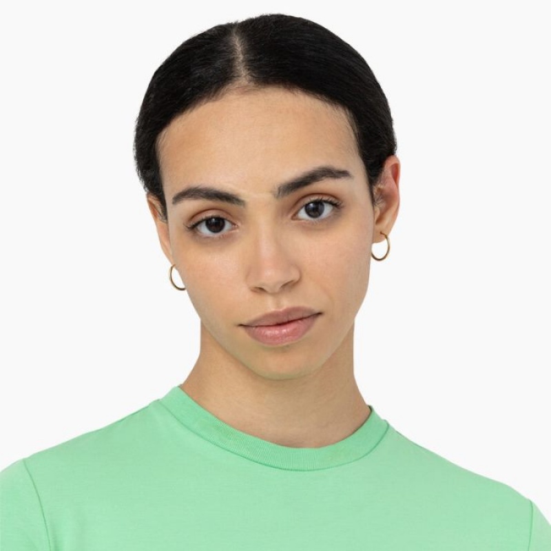 Dickies Maple Valley Logo Cropped T-Shirt Verde Menta | BCWB6931