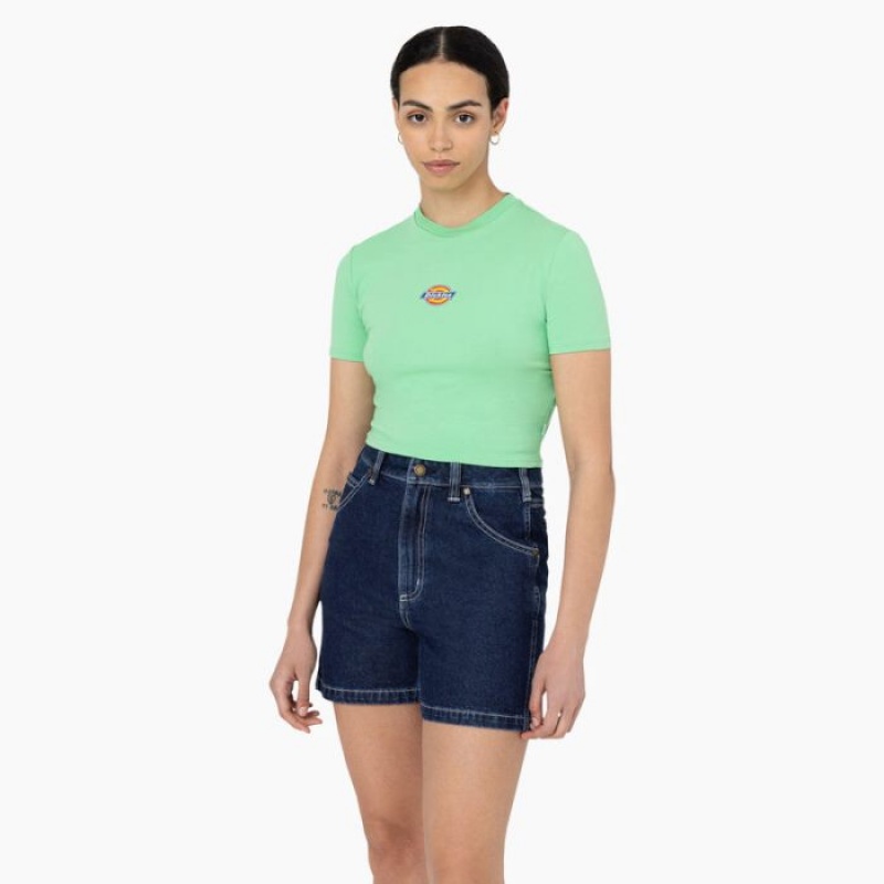 Dickies Maple Valley Logo Cropped T-Shirt Verde Menta | BCWB6931