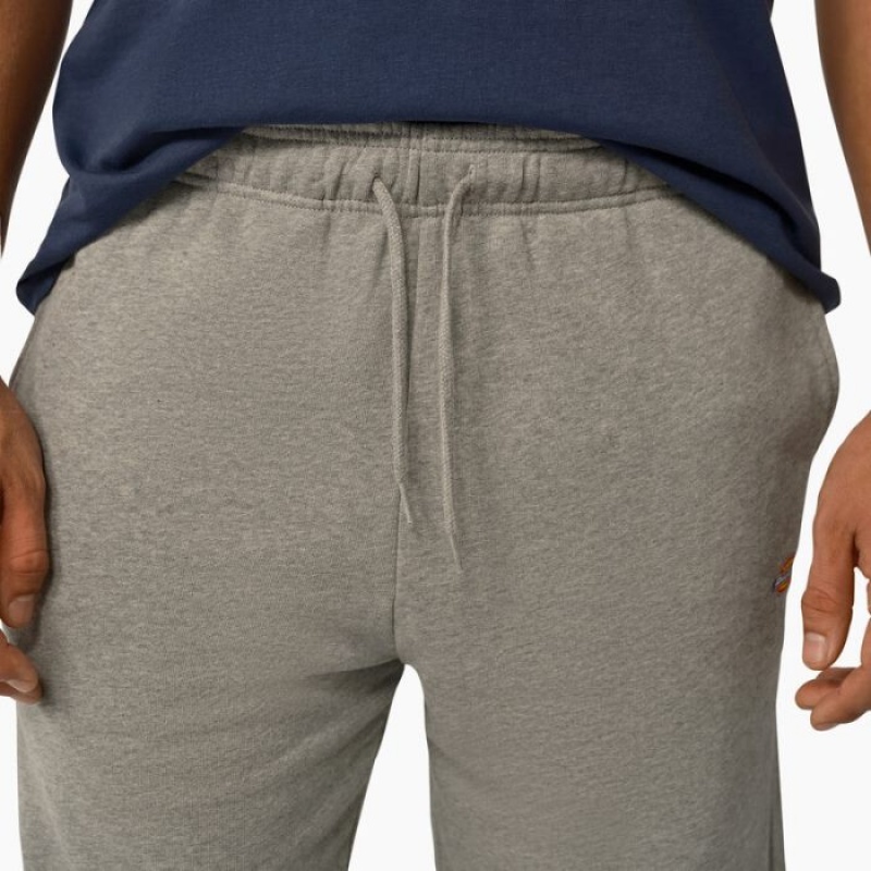Dickies Mapleton Regular Fit Shorts, 9