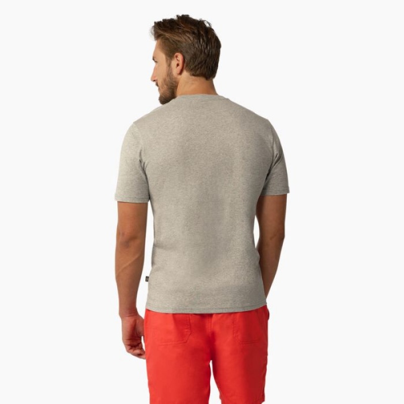 Dickies Mapleton Scurte Sleeve T-Shirt Gri | IOFE5396
