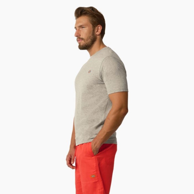 Dickies Mapleton Scurte Sleeve T-Shirt Gri | IOFE5396