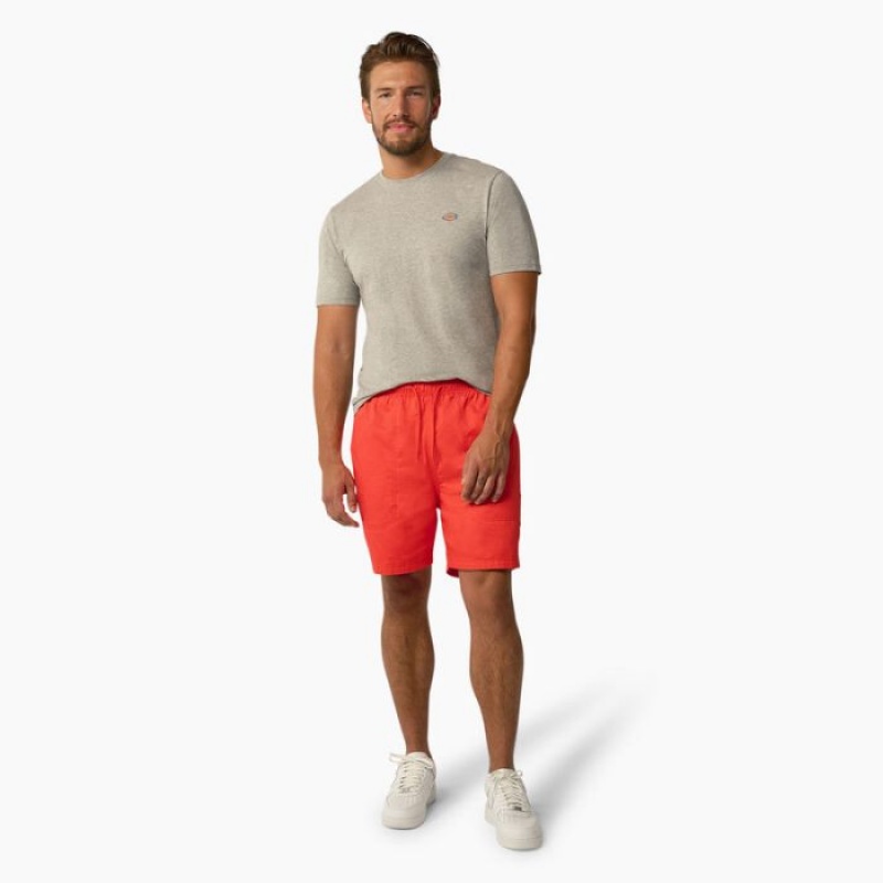 Dickies Mapleton Scurte Sleeve T-Shirt Gri | IOFE5396