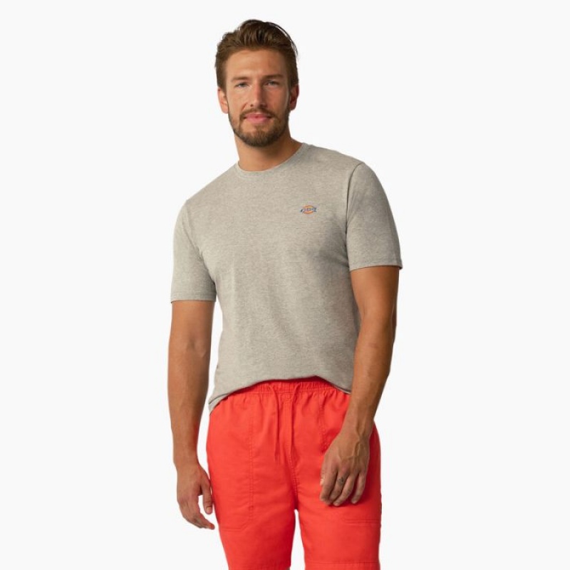 Dickies Mapleton Scurte Sleeve T-Shirt Gri | IOFE5396