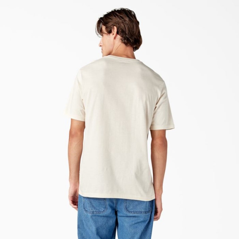 Dickies Mapleton Scurte Sleeve T-Shirt Gri | FPGJ6174
