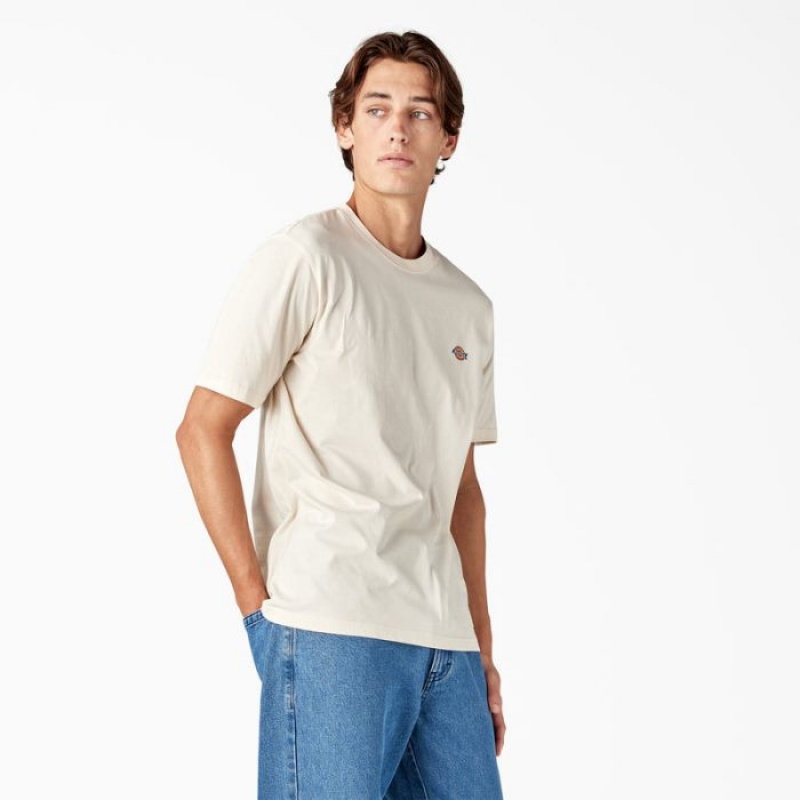 Dickies Mapleton Scurte Sleeve T-Shirt Gri | FPGJ6174