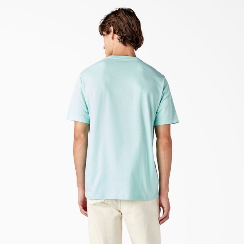 Dickies Mapleton Scurte Sleeve T-Shirt Turcoaz | TUXG0236