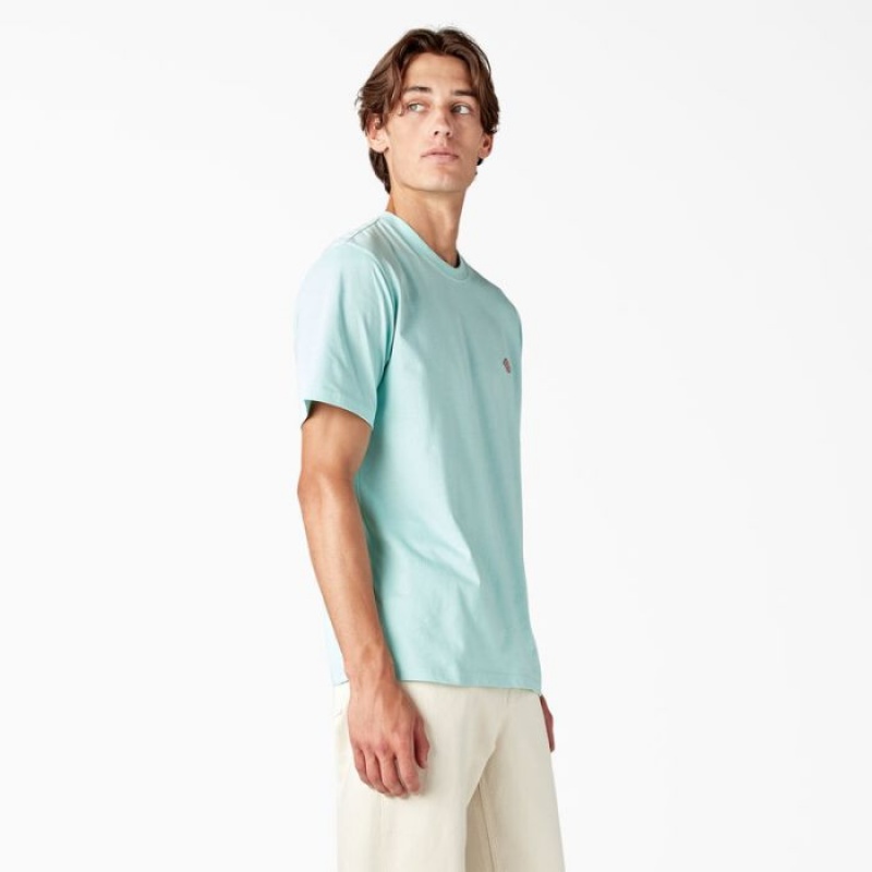 Dickies Mapleton Scurte Sleeve T-Shirt Turcoaz | TUXG0236