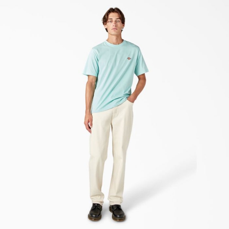 Dickies Mapleton Scurte Sleeve T-Shirt Turcoaz | TUXG0236