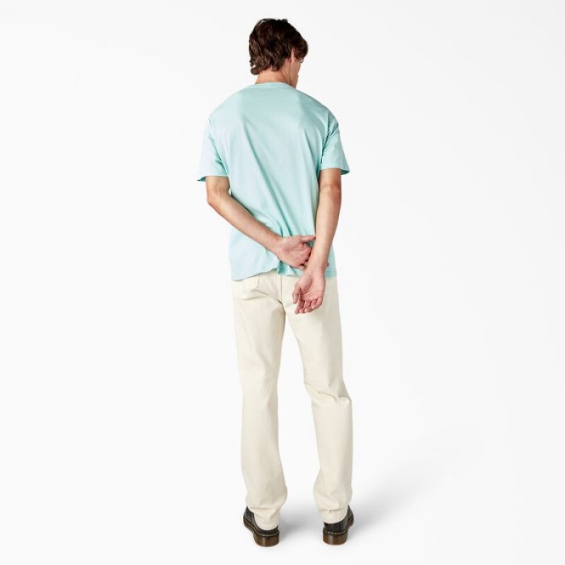 Dickies Mapleton Scurte Sleeve T-Shirt Turcoaz | TUXG0236