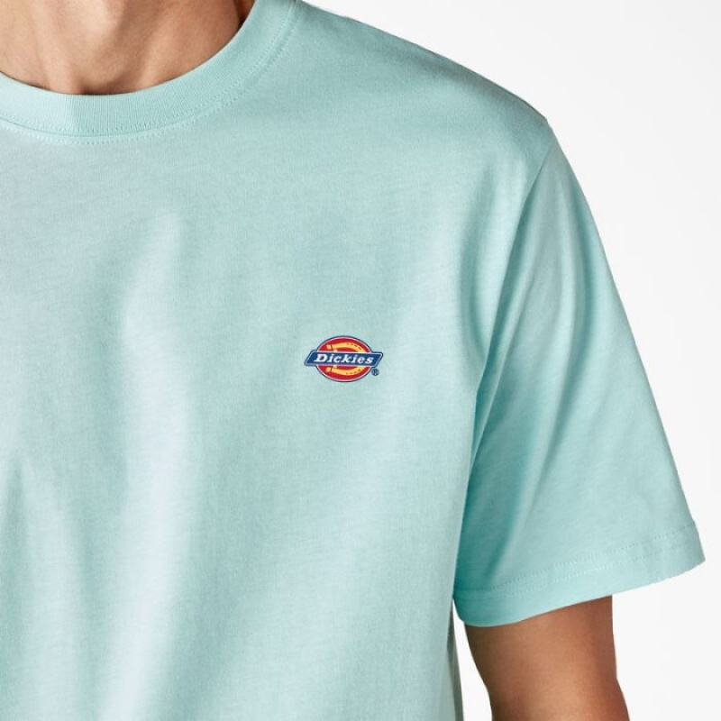 Dickies Mapleton Scurte Sleeve T-Shirt Turcoaz | TUXG0236