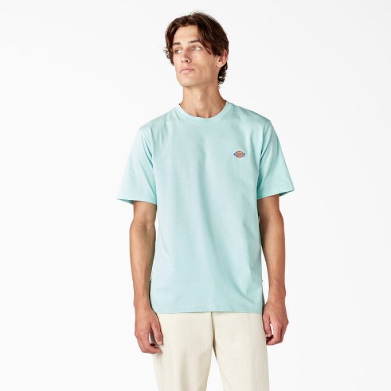 Dickies Mapleton Scurte Sleeve T-Shirt Turcoaz | TUXG0236
