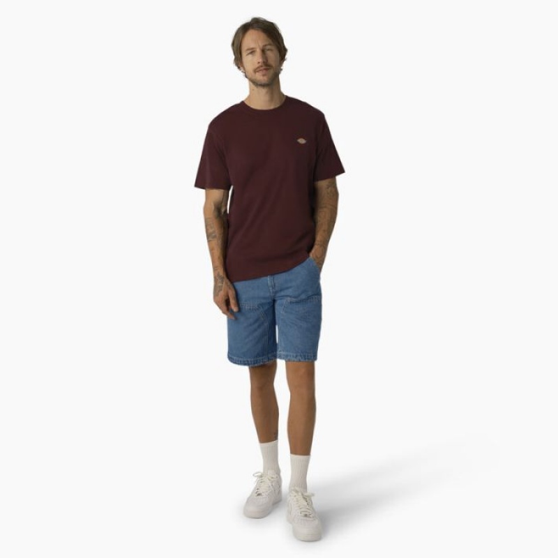 Dickies Mapleton Scurte Sleeve T-Shirt Visinii | EODL4684