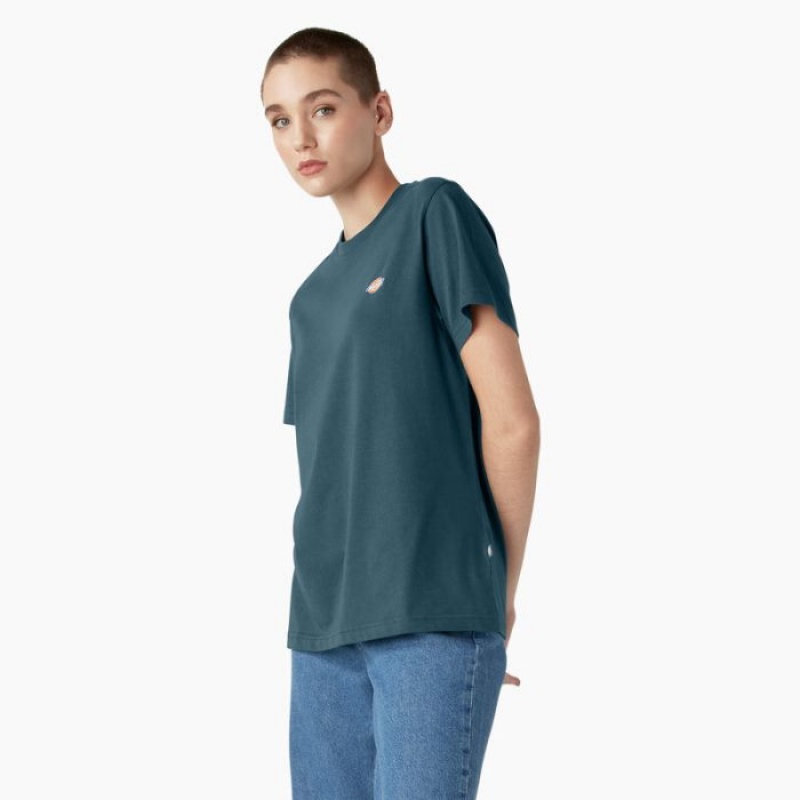 Dickies Mapleton T-Shirt Reflecting Pond | QPCN1377