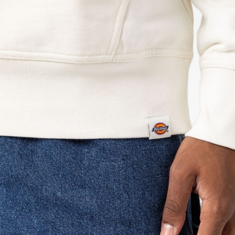 Dickies Marbury Grafice Hoodie Regular | BWWH2159