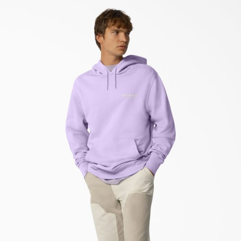 Dickies Oatfield Hoodie Violet Roz | QMVK8551