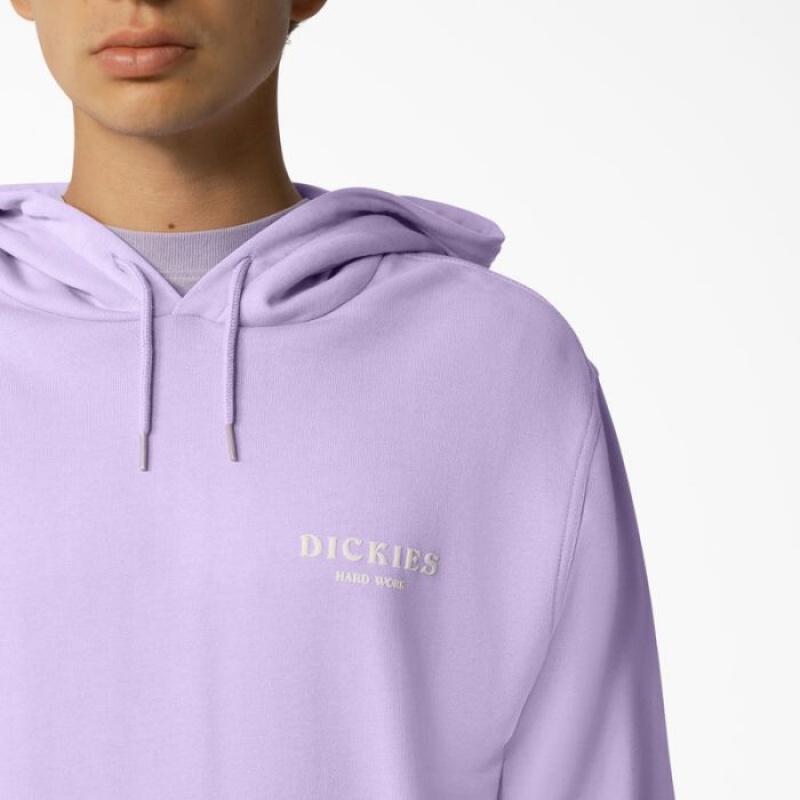Dickies Oatfield Hoodie Violet Roz | QMVK8551
