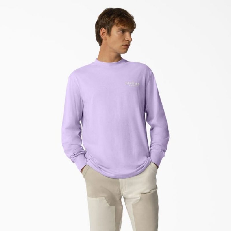 Dickies Oatfield Long Sleeve T-Shirt Violet Roz | HZOR3927