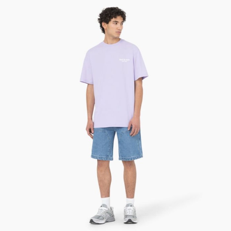 Dickies Oatfield Scurte Sleeve T-Shirt Violet Roz | PEDN8426