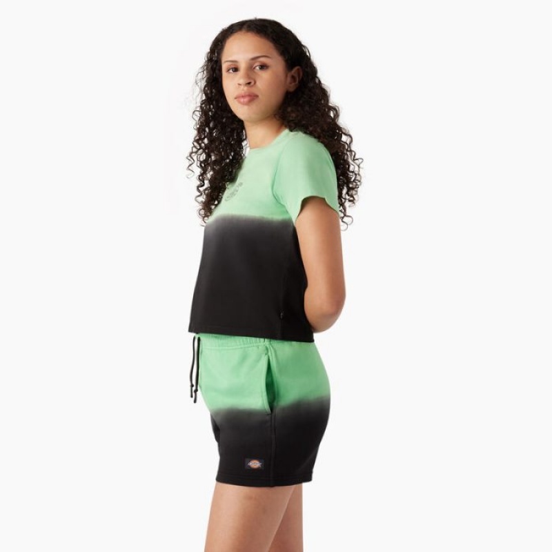 Dickies Ombre Cropped T-Shirt Verde Menta Negrii | HVFZ2544