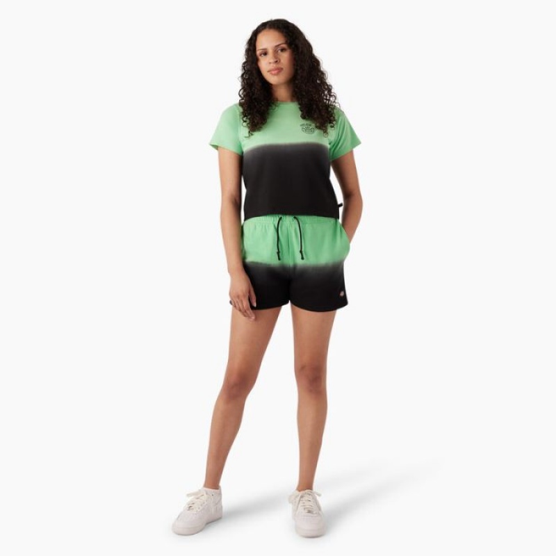 Dickies Ombre Cropped T-Shirt Verde Menta Negrii | HVFZ2544