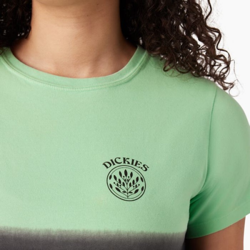 Dickies Ombre Cropped T-Shirt Verde Menta Negrii | HVFZ2544