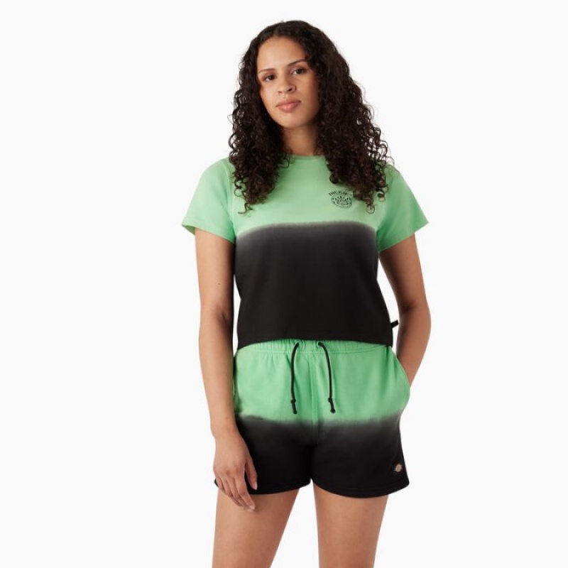 Dickies Ombre Cropped T-Shirt Verde Menta Negrii | HVFZ2544
