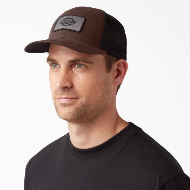 Dickies Panza Trucker Cap Ciocolata Maro | CWJU6631