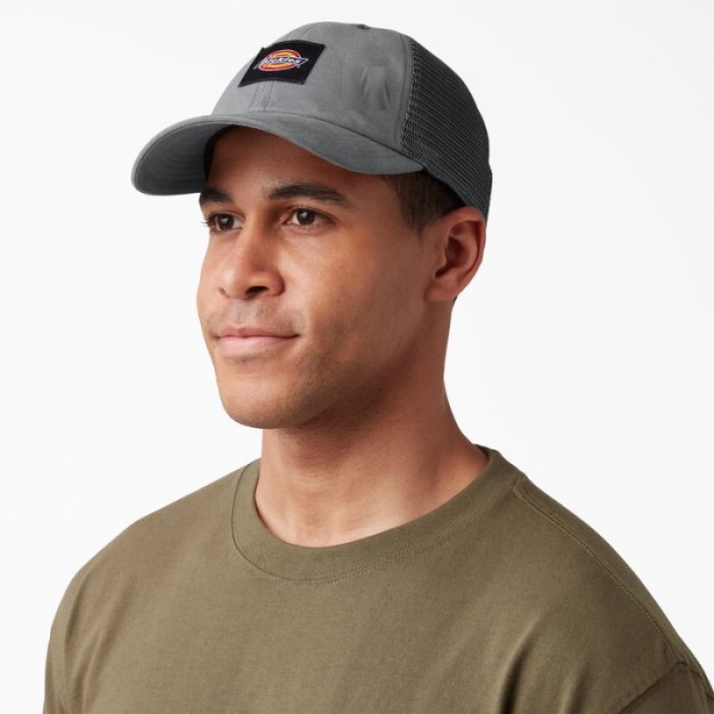 Dickies Panza Trucker Hat Gri | GBVZ9792