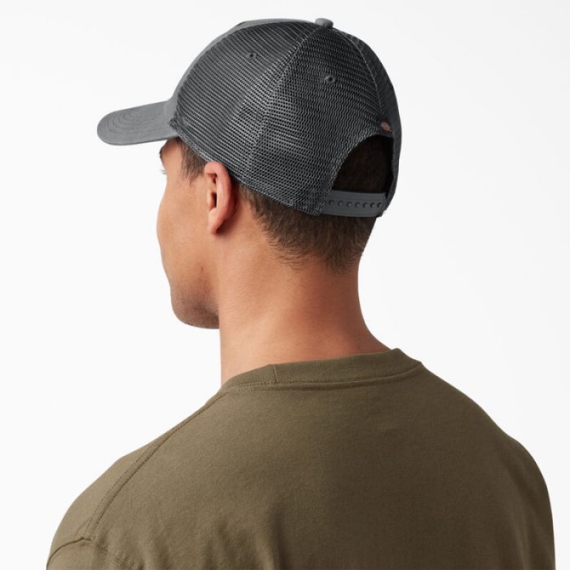 Dickies Panza Trucker Hat Gri | GBVZ9792