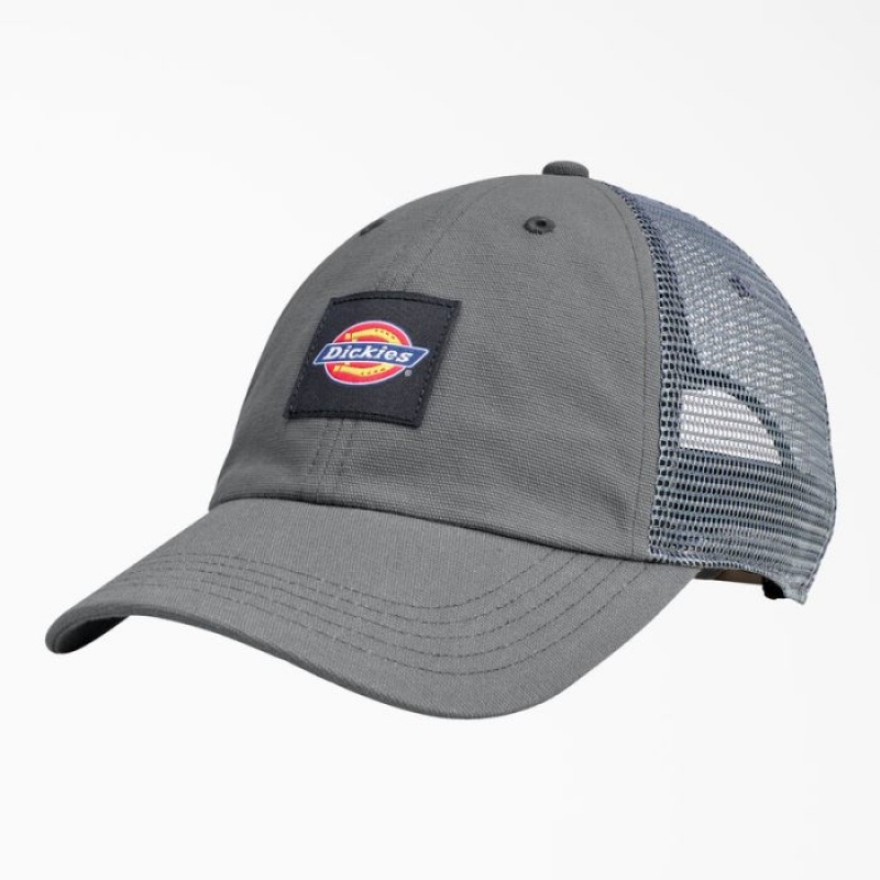 Dickies Panza Trucker Hat Gri | GBVZ9792