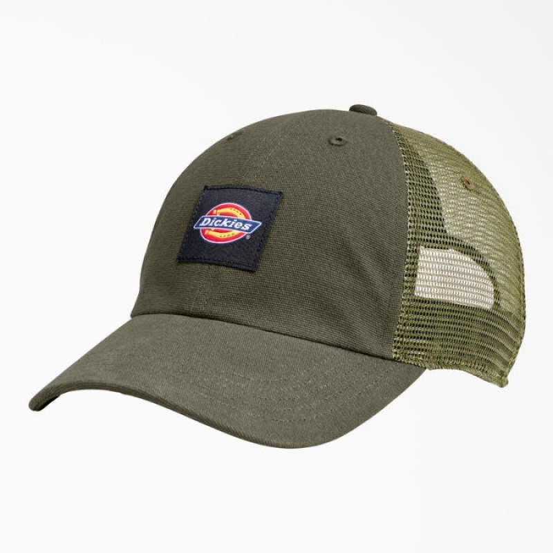 Dickies Panza Trucker Hat Verzi | LHJN5036