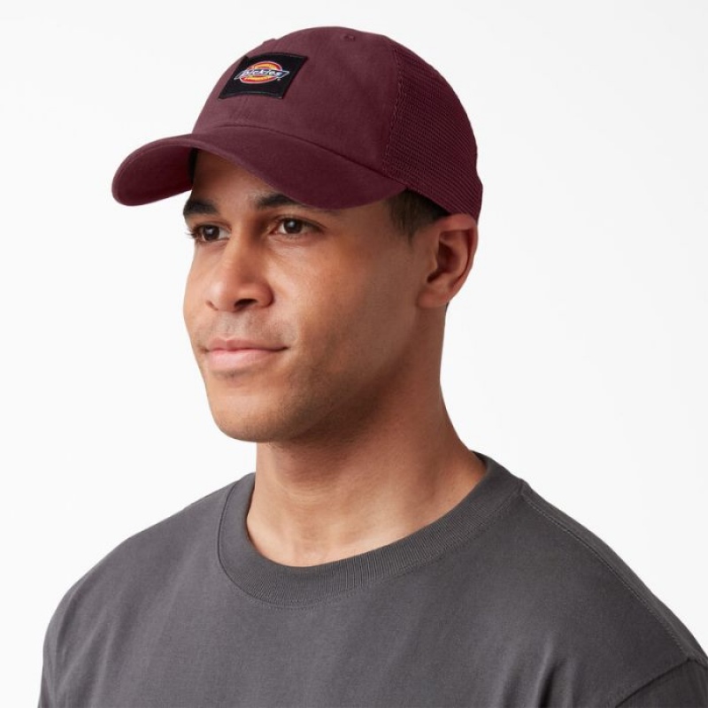 Dickies Panza Trucker Hat Visinii | XYHT2980