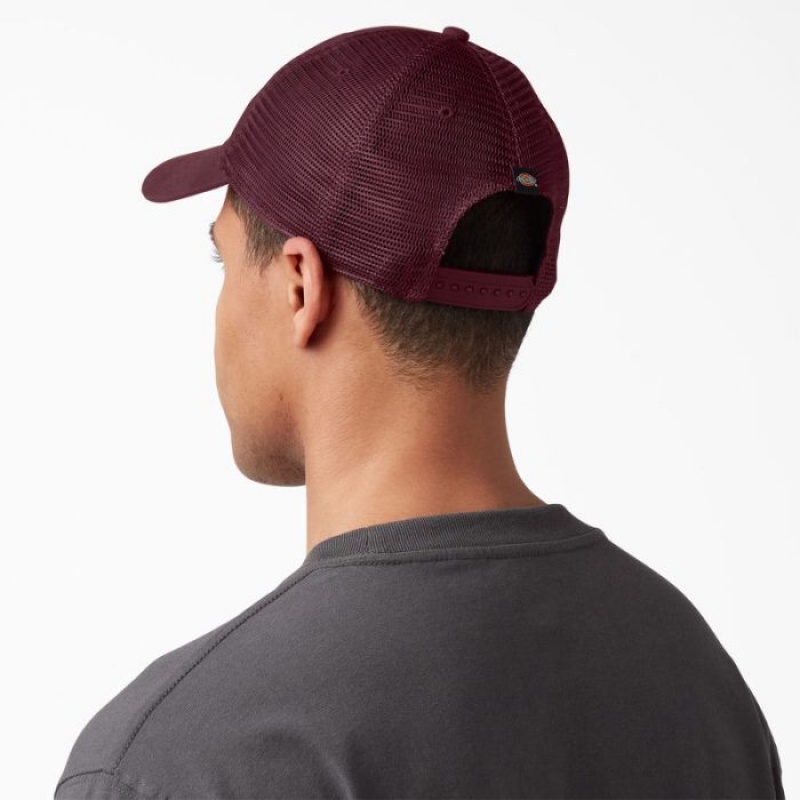 Dickies Panza Trucker Hat Visinii | XYHT2980