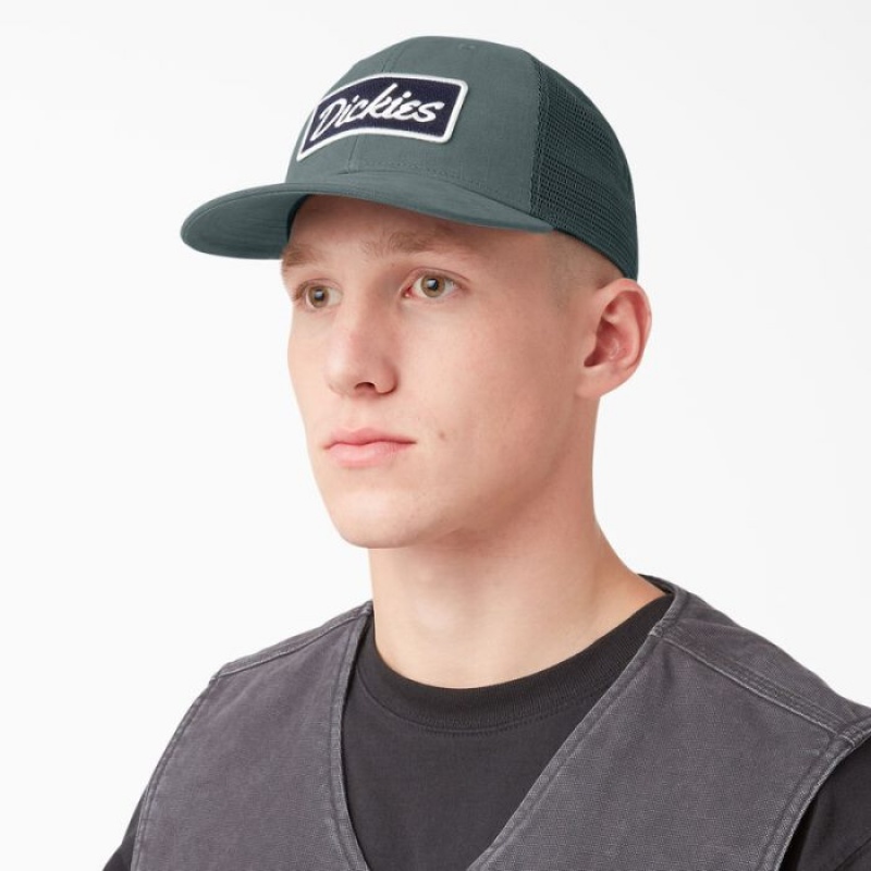 Dickies Patch Logo Trucker Cap Verzi | SIER6533