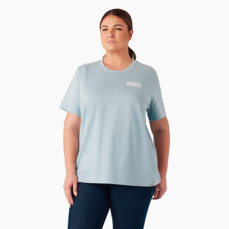 Dickies Plus Heavyweight Workwear Grafice T-Shirt Albastri | LDCX3610