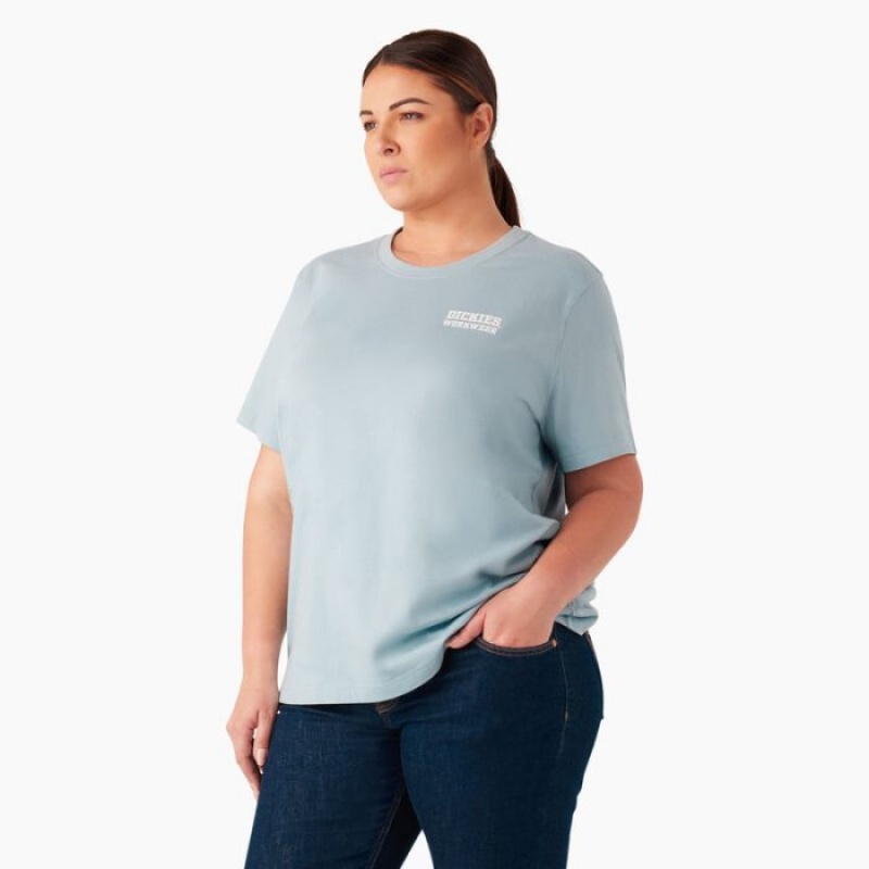 Dickies Plus Heavyweight Workwear Grafice T-Shirt Albastri | LDCX3610