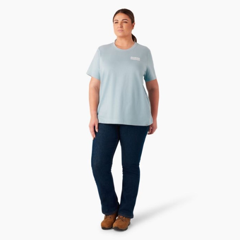 Dickies Plus Heavyweight Workwear Grafice T-Shirt Albastri | LDCX3610