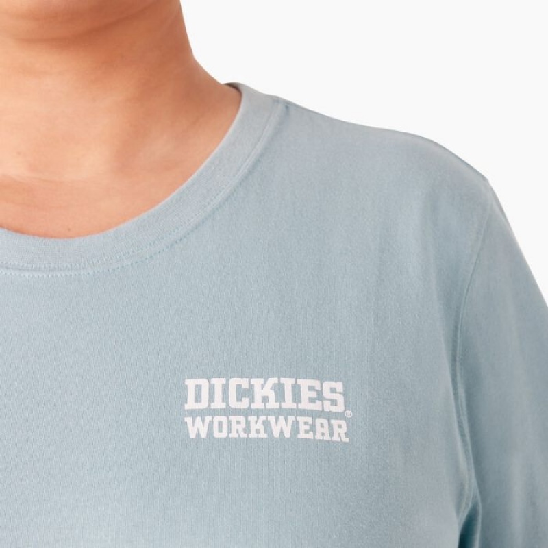 Dickies Plus Heavyweight Workwear Grafice T-Shirt Albastri | LDCX3610