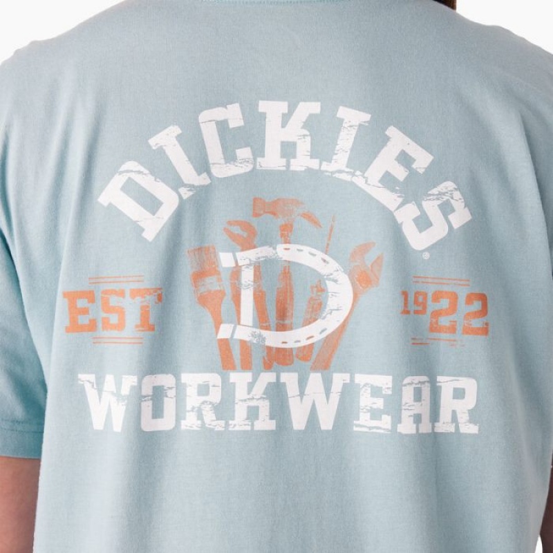 Dickies Plus Heavyweight Workwear Grafice T-Shirt Albastri | LDCX3610