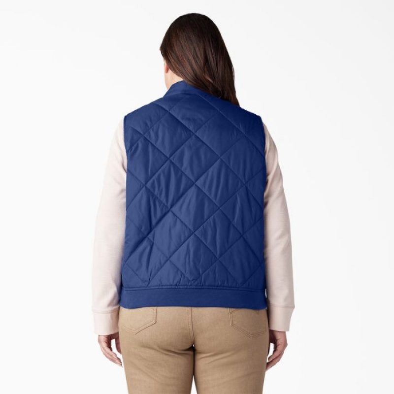 Dickies Plus Matlasat Vest Albastri | UISN2227