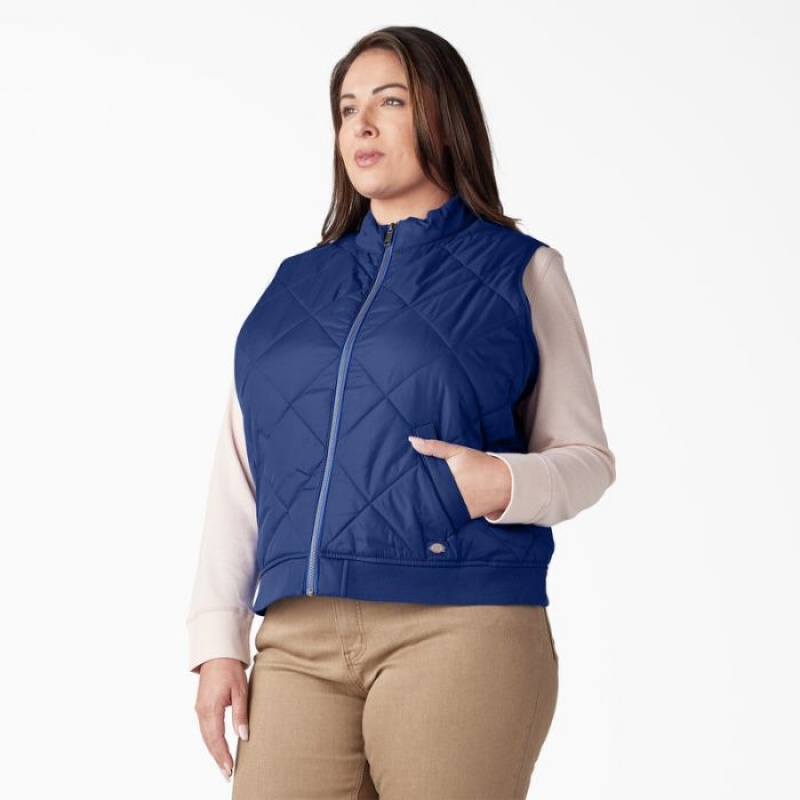 Dickies Plus Matlasat Vest Albastri | UISN2227