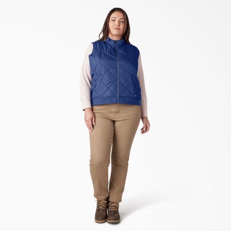 Dickies Plus Matlasat Vest Albastri | UISN2227