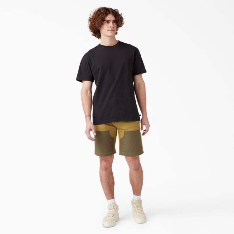 Dickies Regular Fit Contrast Chap Front Shorts, 9