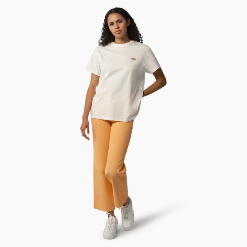 Dickies Regular Fit Duck Pants Regular | DHDV4569