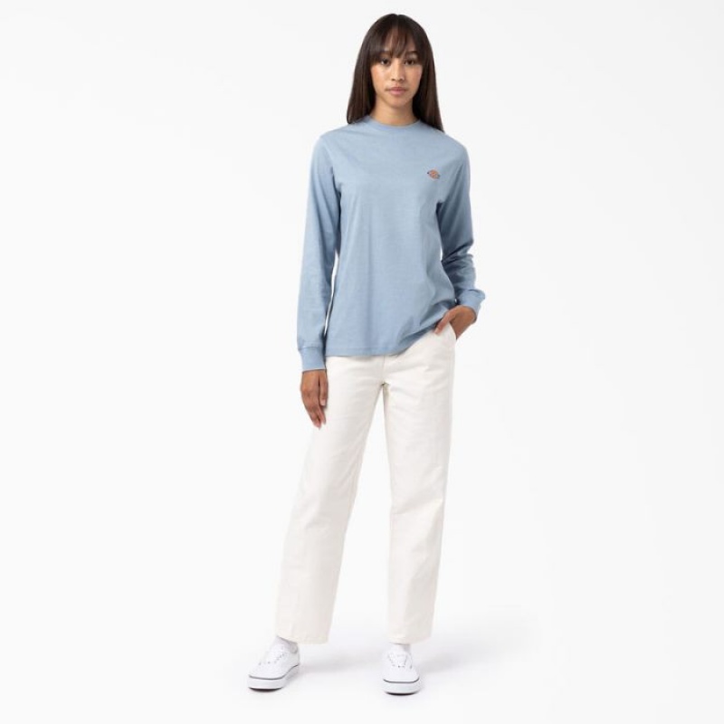 Dickies Regular Fit Duck Pants Regular | ITHG3128