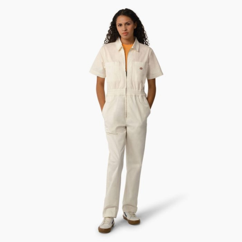 Dickies Regular Fit Vale Coveralls Cloud | BGFT5442