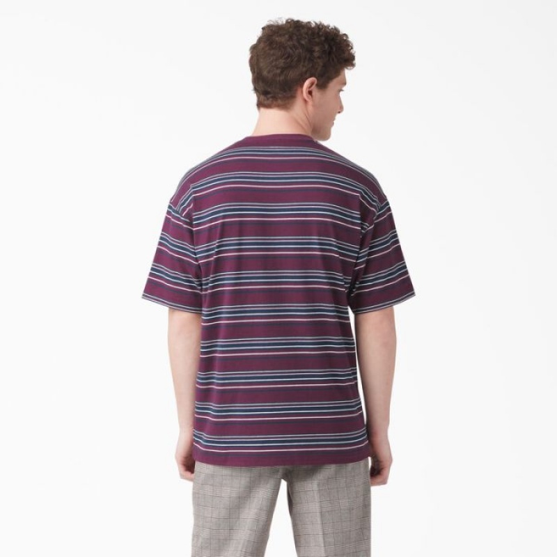 Dickies Relaxed Fit In Dungi Pocket T-Shirt Violet Visinii | JZHY8297
