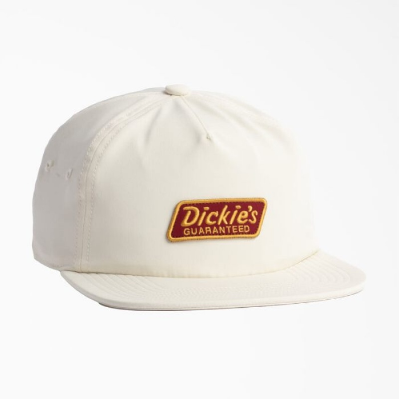 Dickies Relaxed Low Pro Cap Gri | RVJU1484